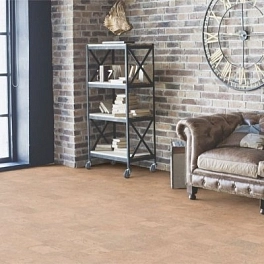 Напольная пробка клеевая Wicanders Cork Pure 31кл DN11004 Originals IDENTITY AJ8F004